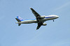 haneda_0960_mini.jpg