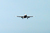 haneda_0996_mini.jpg