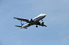 haneda_1002_mini.jpg