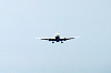 haneda_1041_mini.jpg