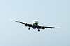 haneda_1078_mini.jpg