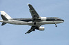 haneda_1125_mini.jpg