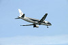 haneda_1128_mini.jpg