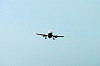 haneda_1146_mini.jpg