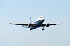 haneda_1148_mini.jpg