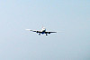 haneda_1168_mini.jpg