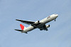 haneda_1177_mini.jpg