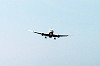 haneda_1186_mini.jpg