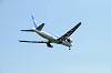 haneda_1204_mini.jpg