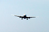 haneda_1218_mini.jpg