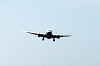 haneda_1219_mini.jpg