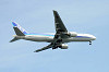 haneda_1224_mini.jpg