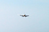 haneda_1227_mini.jpg