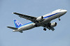 haneda_1259_mini.jpg