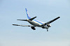 haneda_1325_mini.jpg