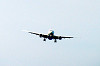 haneda_1384_mini.jpg