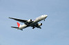 haneda_1399_mini.jpg