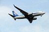 haneda_2426_mini.jpg