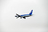 haneda_2695_mini.jpg