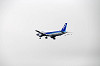 haneda_2696_mini.jpg