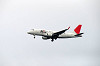 haneda_2816_mini.jpg