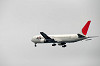 haneda_2859_mini.jpg