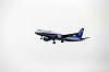 haneda_3149_mini.jpg