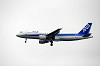 haneda_3154_mini.jpg