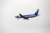 haneda_3159_mini.jpg