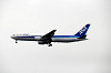 haneda_3566_mini.jpg