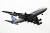 haneda_5293_mini.jpg