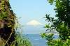 kamakura_sea_0166_mini.jpg