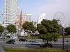 minatomirai_0006_mini.jpg