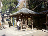 ueno_0269_mini.jpg