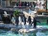 ueno_zoo_0291_mini.jpg