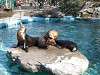 ueno_zoo_0428_mini.jpg