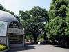 ueno_zoo_6746_mini.jpg