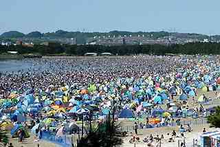 史上最強の潮干狩り超人 5月5日の横浜金沢海の公園