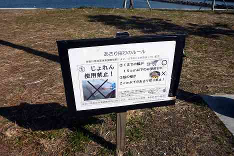 史上最強の潮干狩り超人 海の公園の様子16