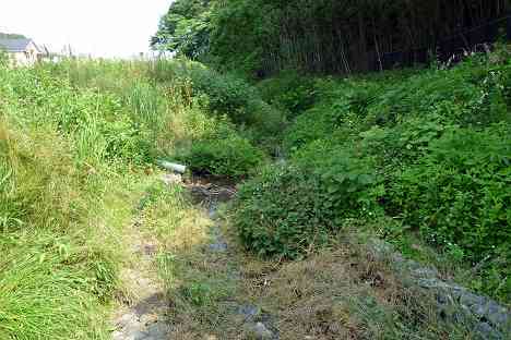 鶴見川本流全橋制覇の旅