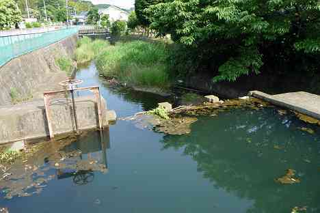 鶴見川本流全橋制覇の旅