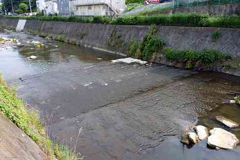 鶴見川本流全橋制覇の旅