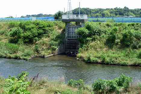 鶴見川本流全橋制覇の旅