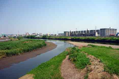 鶴見川本流全橋制覇の旅